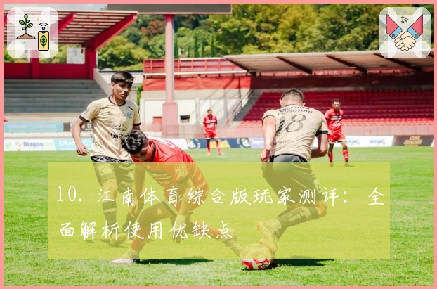 10. 江南体育综合版玩家测评：全面解析使用优缺点